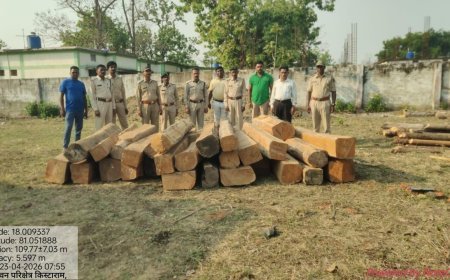 सुकमा में 7.50 लाख की सागौन लकड़ी जब्त, वन विभाग-पुलिस की संयुक्त कार्रवाई में अंतर्राज्यीय तस्करी का खुलासा