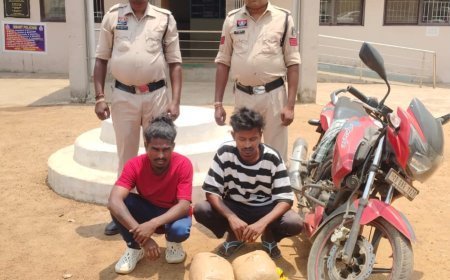 महासमुंद में बड़ी कार्रवाई: 6 किलो गांजा के साथ दो अंतर्राज्यीय तस्कर गिरफ्तार