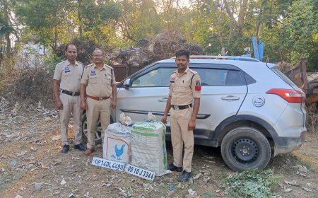 कांकेर में पुलिस का डबल एक्शन: जुआ पर रेड, 67 किलो गांजा तस्करी का भंडाफोड़