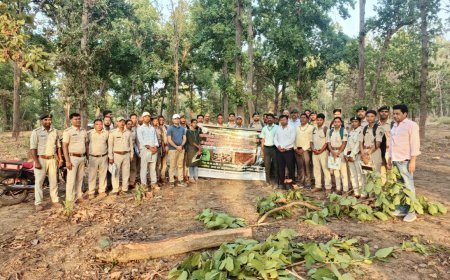 कवर्धा वन मंडल में साल हार्टवुड बोरर नियंत्रण पर प्रशिक्षण, वन संरक्षण को मिलेगी नई दिशा