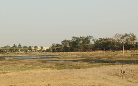 बघमरा में अवैध रेत उत्खनन की शिकायत निकली निराधार, जांच में सब कुछ सामान्य