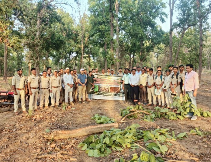 कवर्धा वन मंडल में साल हार्टवुड बोरर नियंत्रण पर प्रशिक्षण, वन संरक्षण को मिलेगी नई दिशा