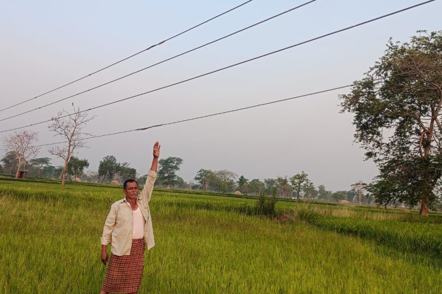 ओरमा में बिजली विभाग की लापरवाही, खेतों के ऊपर 7 फीट पर झूल रही लाइन से किसानों की जान खतरे में