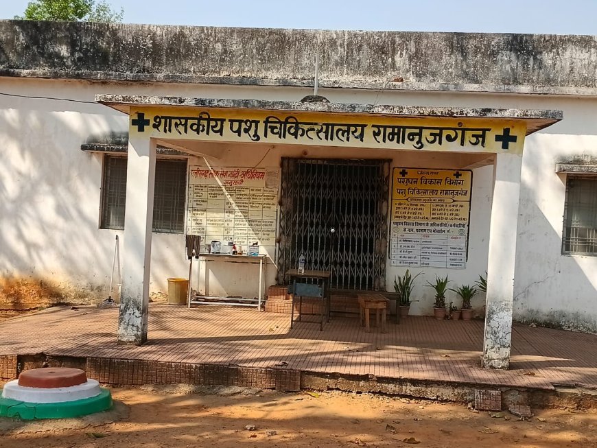 रामानुजगंज में पशु चिकित्सा विभाग पर कमीशनखोरी के आरोप, वायरल ऑडियो से बढ़ा विवाद