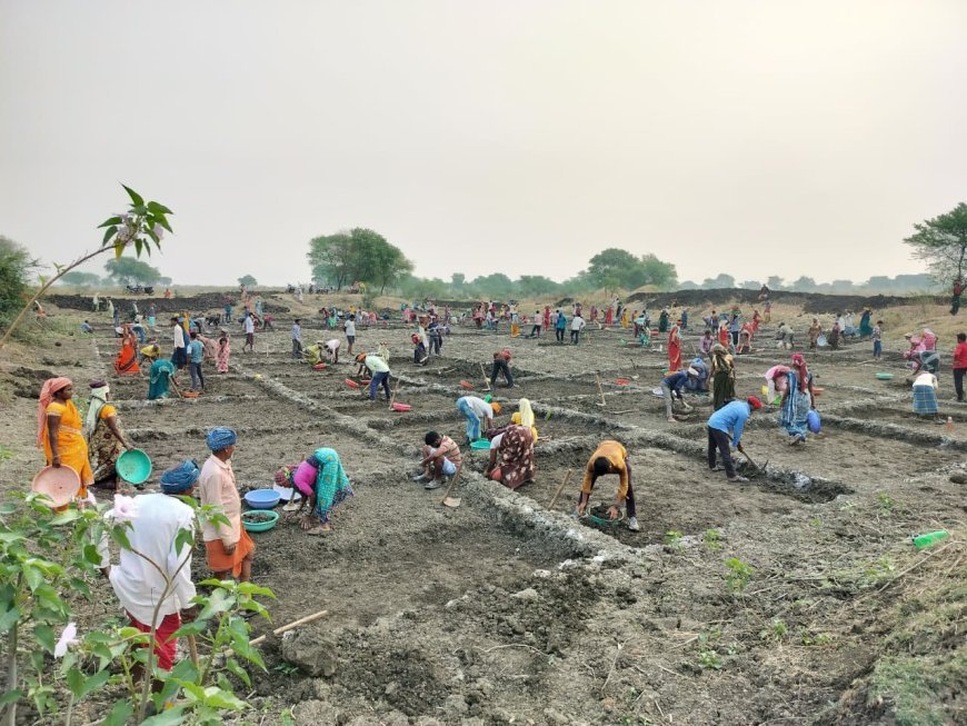 मनरेगा में कबीरधाम नंबर-1: सर्वाधिक रोजगार और मानव दिवस सृजन में प्रदेश में अव्वल