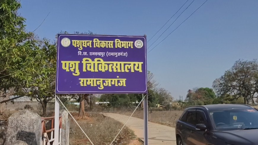 रामानुजगंज पशु चिकित्सा विभाग पर कमीशनखोरी का आरोप, सहायक चिकित्सा अधिकारी का ऑडियो वायरल