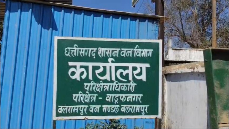 वाड्रफनगर में वनभूमि कब्जा कांड: वनपाल पर रिश्वत लेकर जमीन दिलाने के आरोप