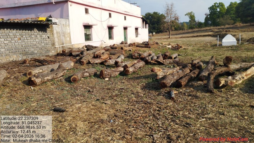 कवर्धा वन विभाग की बड़ी कार्रवाई: अवैध लकड़ी परिवहन पर प्रहार, ट्रैक्टर-ट्रॉली जब्त