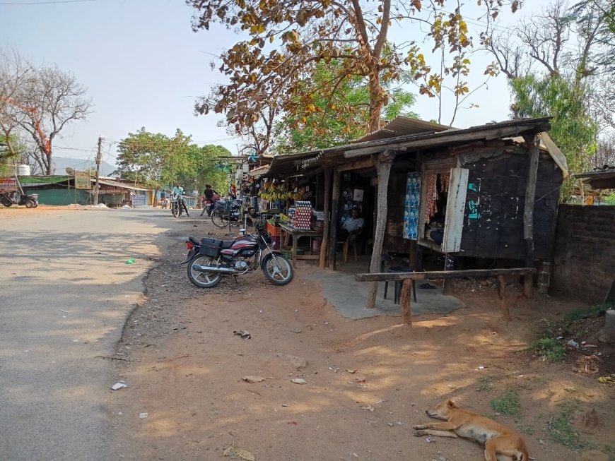 फुटपाथी दुकानदारों पर कार्रवाई का आरोप: सरपंच-सचिव से परेशान गरीब तहसीलदार की शरण में