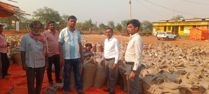 पीएम-आशा योजना: दलहन-तिलहन उपार्जन के लिए कृषक पंजीयन की अंतिम तिथि 20 अप्रैल