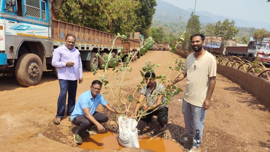 किरंदुल में पत्रकारों का अनोखा प्रदर्शन, गड्ढों में पौधारोपण कर जताया विरोध