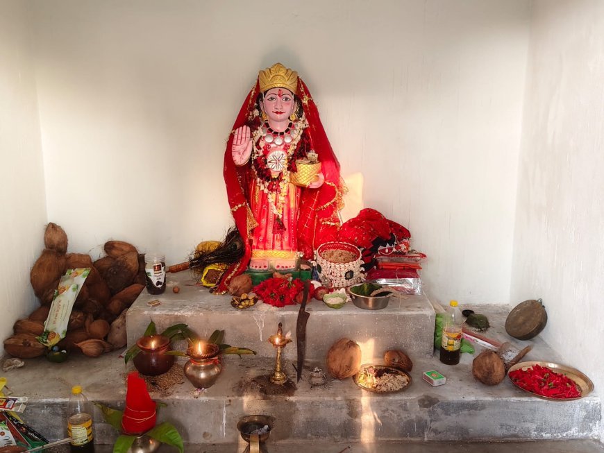 धोबनडीह में पेंड्रावाहिन माता मंदिर की प्राण-प्रतिष्ठा संपन्न, दो दिवसीय जात्रा में उमड़ा जनसैलाब