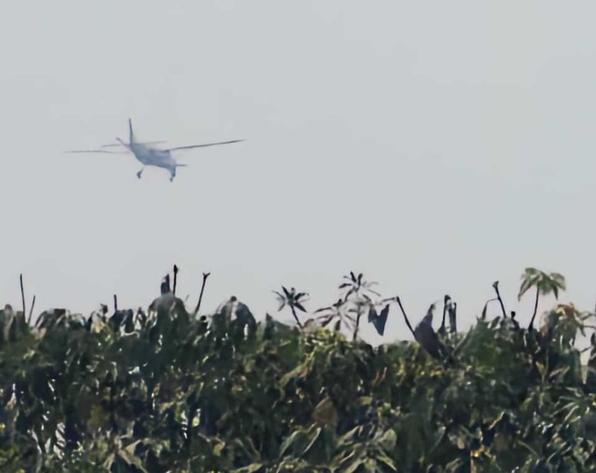 जशपुर में बड़ा विमान हादसा: आरा पहाड़ से टकराकर क्रैश हुआ प्राइवेट विमान, पायलट-को-पायलट की मौत की आशंका