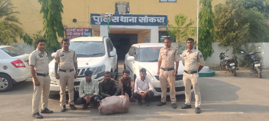 महासमुंद में बड़ी कार्रवाई: 12.563 किलो गांजा के साथ 7 अंतर्राज्यीय तस्कर गिरफ्तार