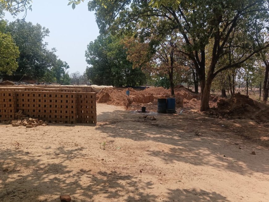 सराईपाली के जंगलों में अवैध ईंट भट्ठों का जाल, पर्यावरण और राजस्व को बड़ा नुकसान