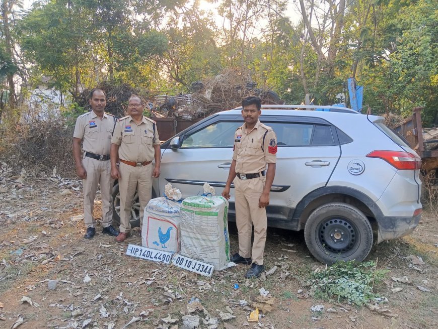 कांकेर में पुलिस का डबल एक्शन: जुआ पर रेड, 67 किलो गांजा तस्करी का भंडाफोड़