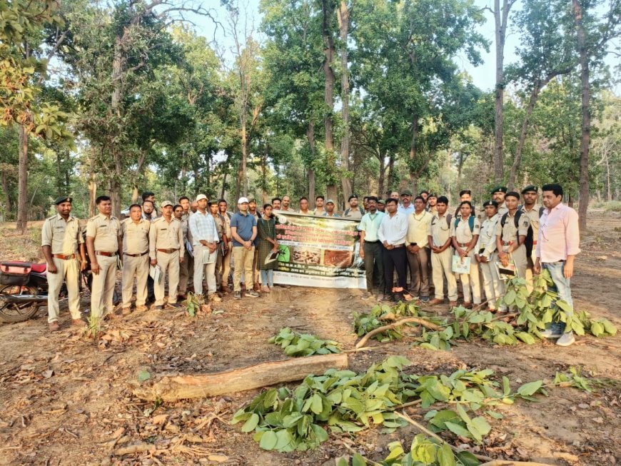 कवर्धा वन मंडल में साल हार्टवुड बोरर नियंत्रण पर प्रशिक्षण, वन संरक्षण को मिलेगी नई दिशा