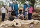 महासमुंद पुलिस का अवैध शराब पर बड़ा अभियान: 216 लीटर से अधिक महुआ व देशी शराब जब्त, 661 पर कार्रवाई