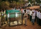 15 दिन बाद खत्म हुआ तेंदुए का आतंक, आलीराजपुर के ग्राम कंदा में पिंजरे में कैद हुआ तेंदुआ