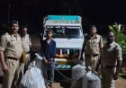 गरियाबंद पुलिस की बड़ी कार्रवाई, 130 किलो से अधिक अवैध गांजा और पिकअप वाहन के साथ एक आरोपी गिरफ्तार