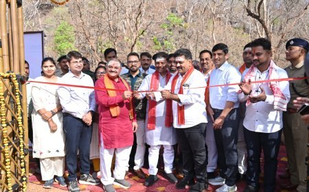 भोरमदेव जंगल सफारी का शुभारंभ: घने जंगलों के बीच मिलेगा रोमांच और प्रकृति का अद्भुत संगम