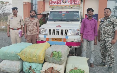 महासमुंद में बड़ी कार्रवाई: 1.14 करोड़ का गांजा जब्त, महाराष्ट्र के दो तस्कर गिरफ्तार