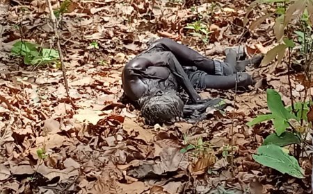 गरियाबंद के कोड़ोहरदी मोड़ के पास जंगल में मिली संदिग्ध लाश, पुलिस जांच में जुटी