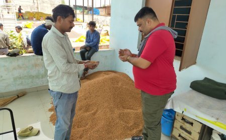 सोमनी सोसाइटी बनी किसानों के लिए भरोसे का केंद्र, चना-तुअर-सरसों खरीदी में पारदर्शिता