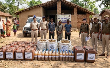 बिलासपुर में आबकारी विभाग की बड़ी कार्रवाई, कई गांवों में छापेमारी कर अवैध महुआ शराब जप्त