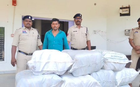 जशपुर पुलिस का ‘ऑपरेशन आघात’ सफल, 207 किलो गांजा सहित तस्कर गिरफ्तार