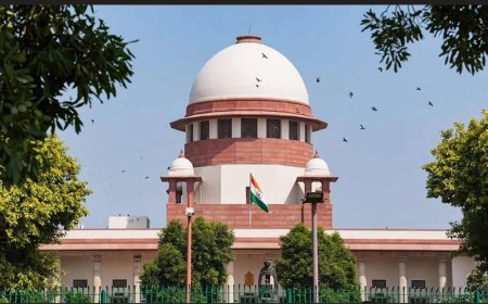 सुप्रीम कोर्ट की टिप्पणी पर विवाद: CJI की ‘कॉकरोच’ वाली टिप्पणी से मचा राजनीतिक और सामाजिक बवाल