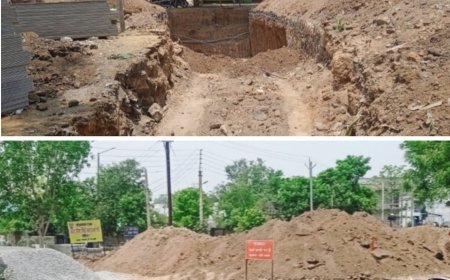 पाली में पुल निर्माण की धीमी रफ्तार बनी परेशानी, खोदी गई सड़क से नागरिक और व्यापारी परेशान