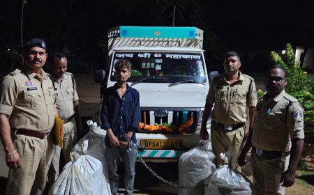 गरियाबंद पुलिस की बड़ी कार्रवाई, 130 किलो से अधिक अवैध गांजा और पिकअप वाहन के साथ एक आरोपी गिरफ्तार