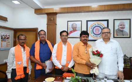 महेश साहू ने डॉ. रमन सिंह से की मुलाकात, विकास और संगठनात्मक मुद्दों पर हुई चर्चा
