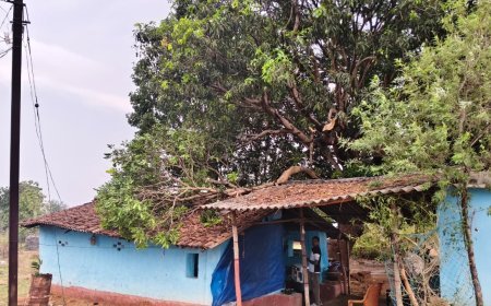 जशपुर के लोदाम में तेज आंधी और ओलावृष्टि से भारी नुकसान, वज्रपात से 6 मवेशियों की मौत