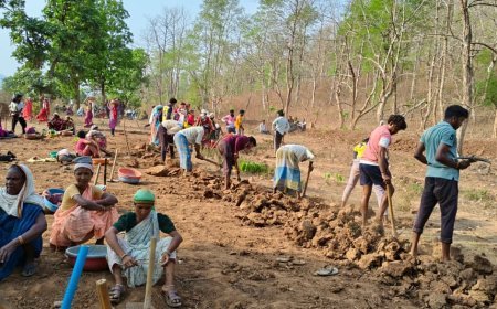 मनरेगा के 2588 निर्माण कार्यों से कबीरधाम में ग्रामीणों को मिल रहा रोजगार