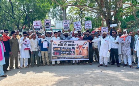 डोंगरगढ़ में मुस्लिम समाज की अनोखी पहल, गाय को राष्ट्रीय पशु घोषित करने की मांग