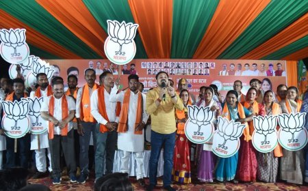 BJP के स्टार प्रचारक अनुज शर्मा का धुआंधार दौरा, 3 जिलों में उमड़ा जनसैलाब; बोले- "ये भीड़ नहीं, भाजपा पर जनता का अटूट विश्वास है"