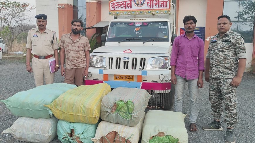 महासमुंद में बड़ी कार्रवाई: 1.14 करोड़ का गांजा जब्त, महाराष्ट्र के दो तस्कर गिरफ्तार