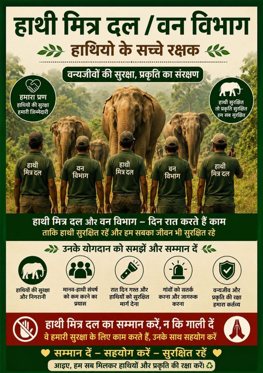 उदंती-सीतानदी टाइगर रिजर्व में दंतेल हाथियों के कारण मुख्य मार्ग एक घंटे रहा बाधित, वन विभाग ने संभाली स्थिति