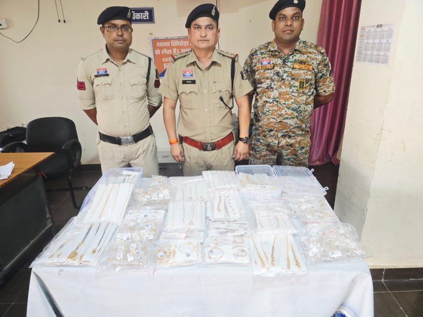 महासमुंद में 9 करोड़ से अधिक के सोने के आभूषण जब्त, सिंघोड़ा पुलिस की बड़ी कार्रवाई