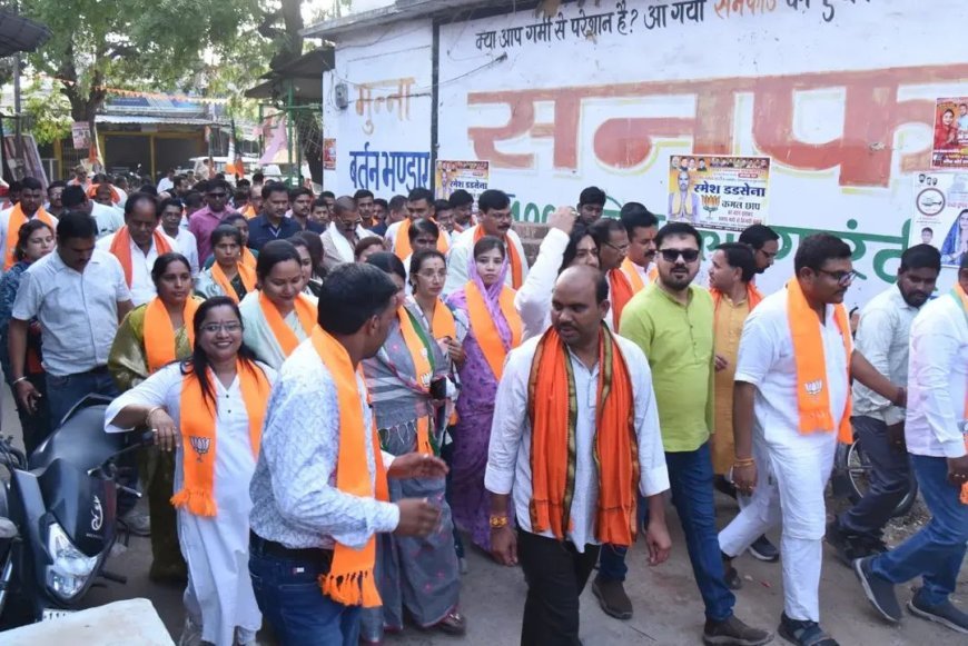 बम्हनीडीह में भाजपा की विशाल जनसभा, विकास के नाम पर मांगा समर्थन