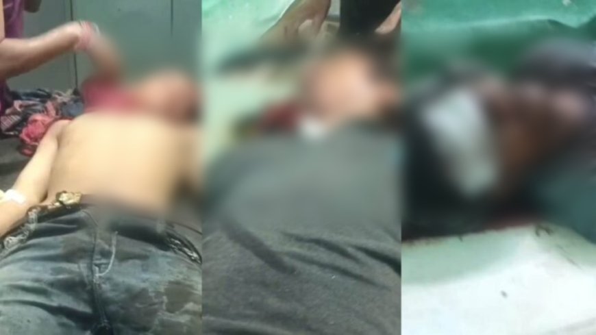 कोरबा में मौसम का कहर: पेड़ की डाल बनी काल, आंधी-तूफान के बीच 3 किशोरों की दर्दनाक मौत
