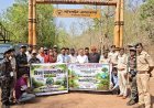 विश्व पर्यावरण दिवस पर करिया आमा जंगल सफारी में हुआ पौधारोपण, पत्रकारों और वन विभाग ने दिया हरित छत्तीसगढ़ का संदेश