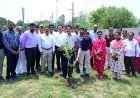 विश्व पर्यावरण दिवस पर संभागायुक्त कार्यालय में पौधरोपण, सुनील जैन ने दिया पर्यावरण संरक्षण का संदेश