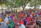 भैंसबोड़ में जल संरक्षण और हरियाली की अनोखी पहल, 3 हजार ट्रेंच में सीड बॉल से बीजारोपण