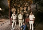 दुर्ग के ग्रामीण इलाकों में सक्रिय लकड़ी तस्कर, अब आम के फलदार पेड़ों पर भी मंडराया खतरा