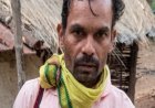 कान्हा टाइगर रिजर्व में बाघ के हमले में सुरक्षा श्रमिक की मौत, वन विभाग में शोक