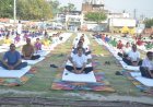अंतरराष्ट्रीय योग दिवस पर सिंगरौली में सामूहिक योगाभ्यास, अधिकारियों और नागरिकों ने लिया स्वस्थ जीवन का संकल्प