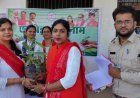 ‘एक पेड़ माँ के नाम’ अभियान से हरित होगा कबीरधाम, 9 लाख पौधरोपण का लक्ष्य